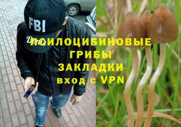 кокс Богданович