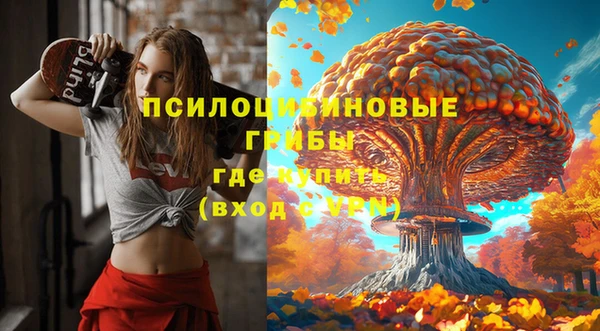 первитин Богородицк