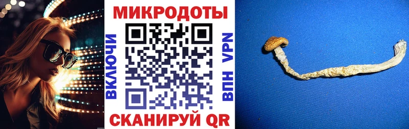 Галлюциногенные грибы Psilocybine cubensis  хочу   Новозыбков 